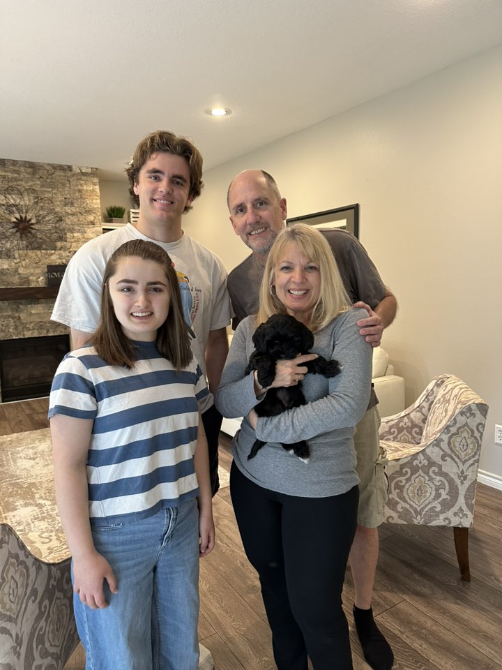 best labradoodle puppies Puppy Culture breeders