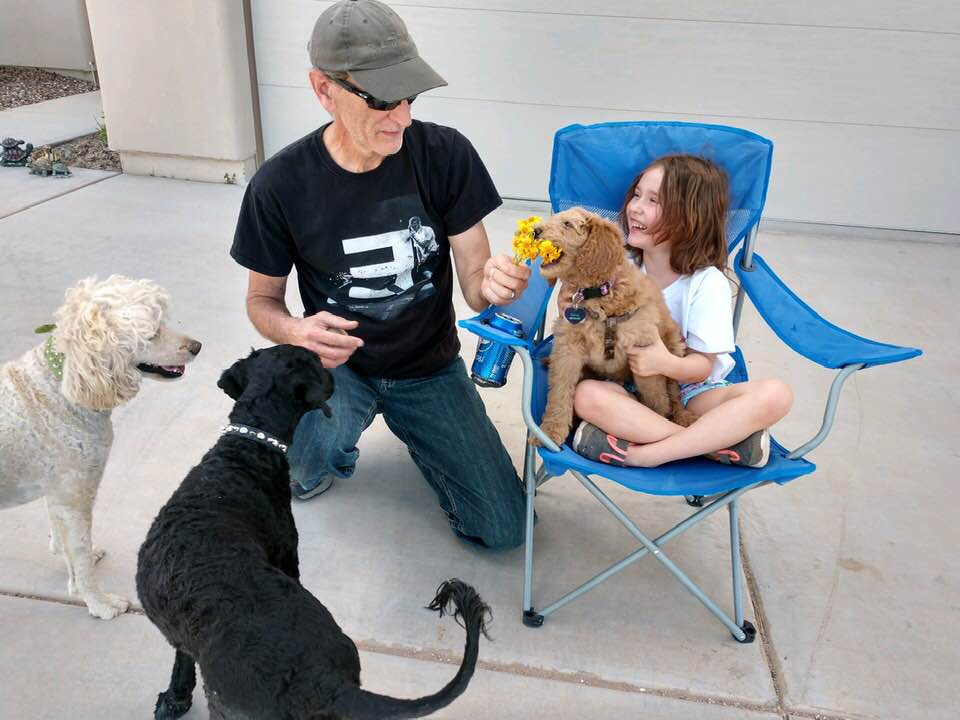 Oregon labradoodle breeders