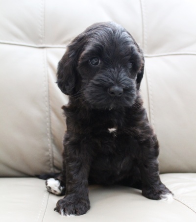 Six weeks Kelly