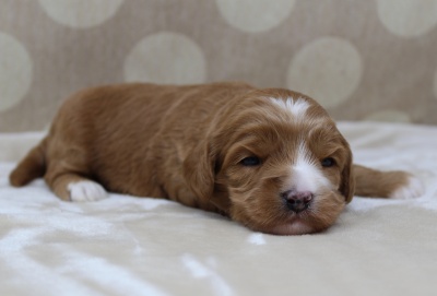 Two weeks Kaitlyn