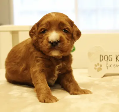 Three weeks Max