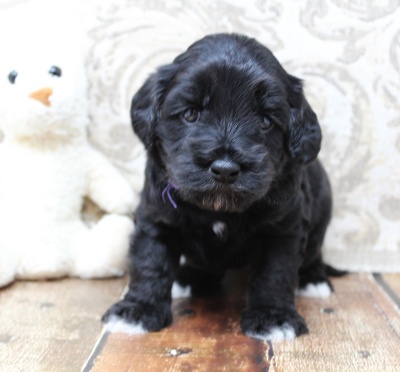 Four weeks Kristy 2