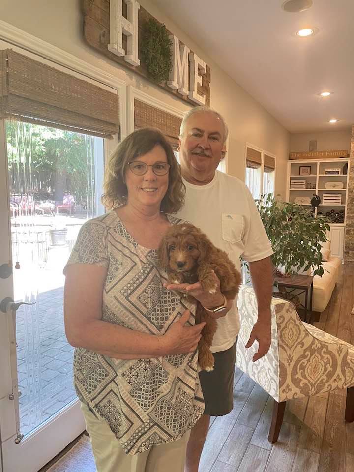 Gretel and Gunner’s puppies are home