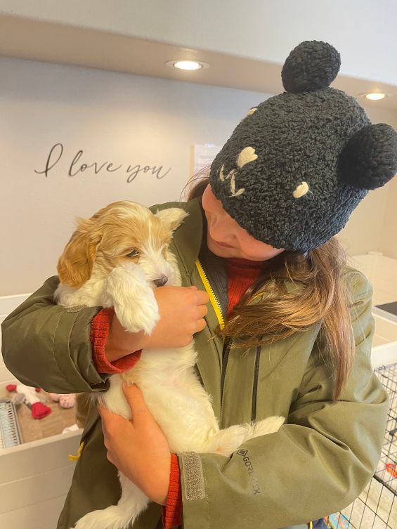 Clara Jane and Bear’s pups are home