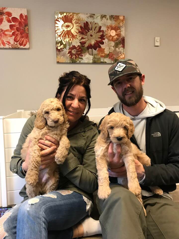 Lizzy and Basil’s pups went home