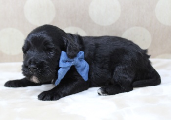 Two weeks Kip 3