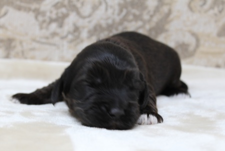 One week Kelly