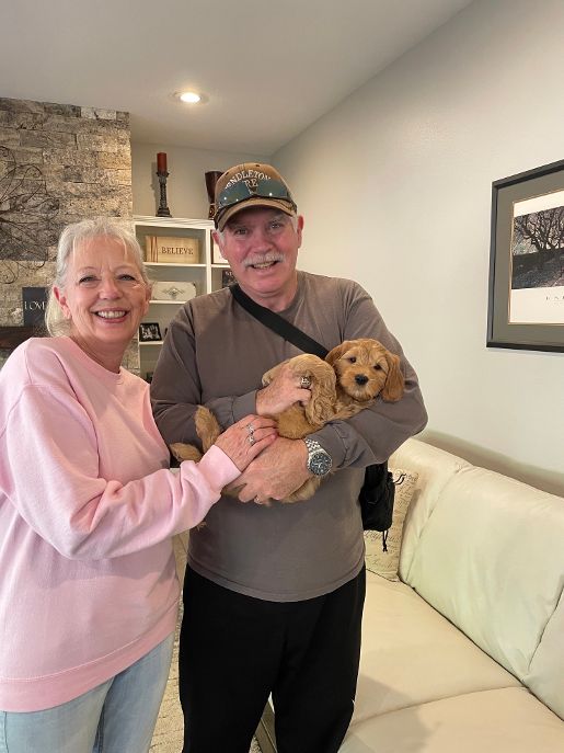 Emma and Watson’s puppies are home