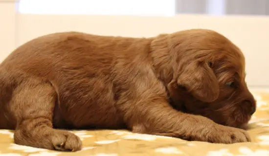 Two weeks Micah