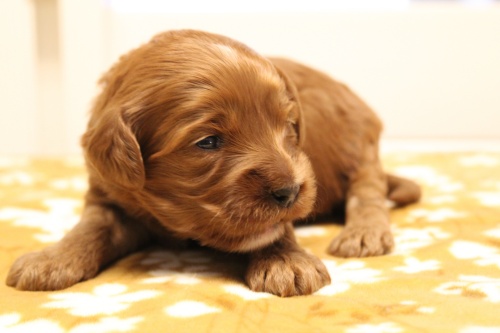 Two weeks Mandy 2