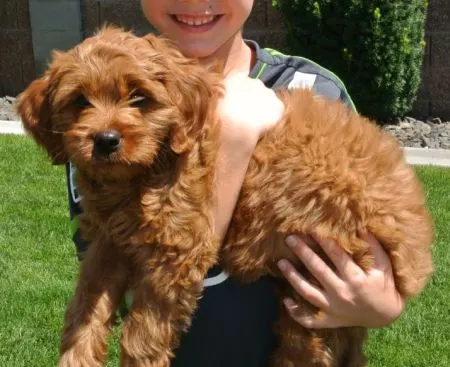 Tiki with his new family.