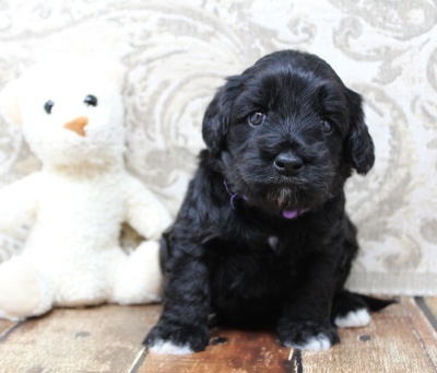 Four weeks Kristy 3