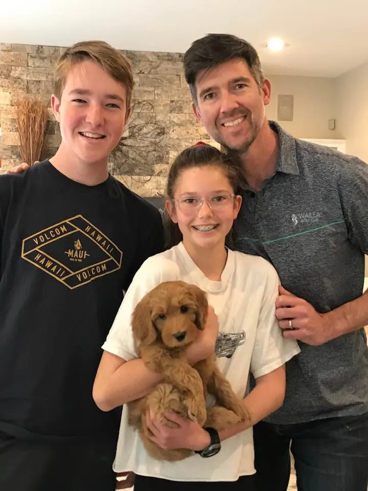 Oregon labradoodle puppies standard size