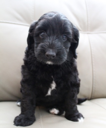Six weeks Kim