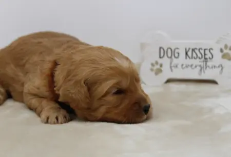 Two weeks Andy