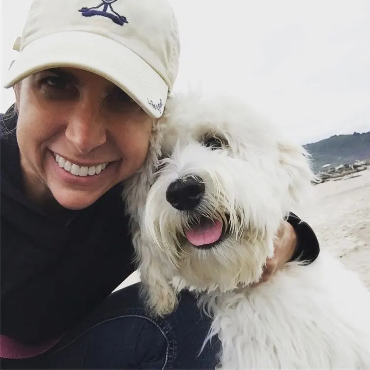 Valley Vineyard Labradoodle