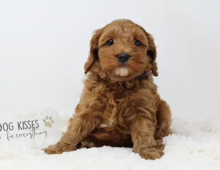 Six weeks Mandy