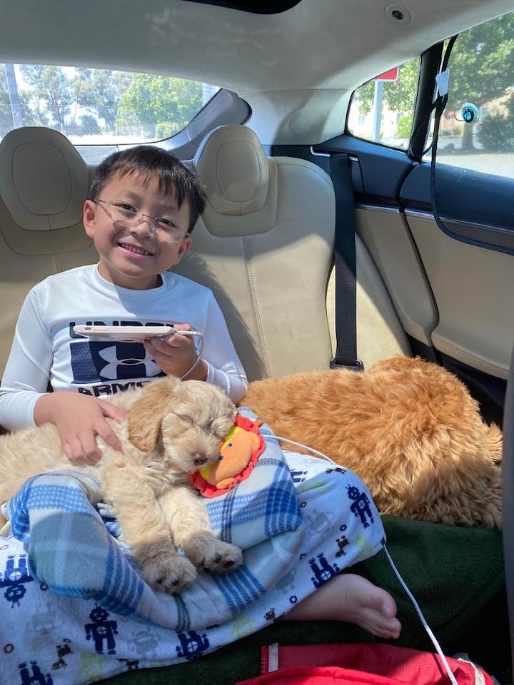 Lizzy and Basil’s puppies are home with their forever families