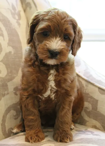Seven weeks Max 2