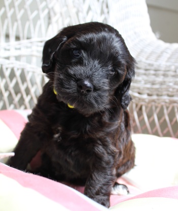 Five weeks Kelly outside