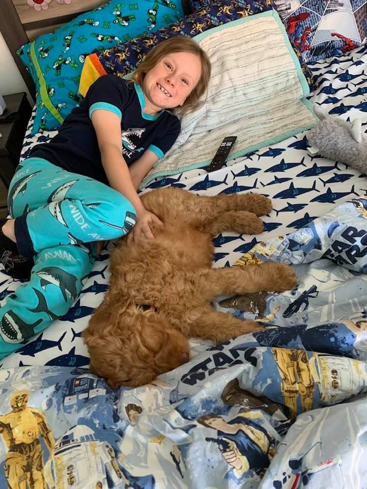 Gracie’s puppies are with their forever families