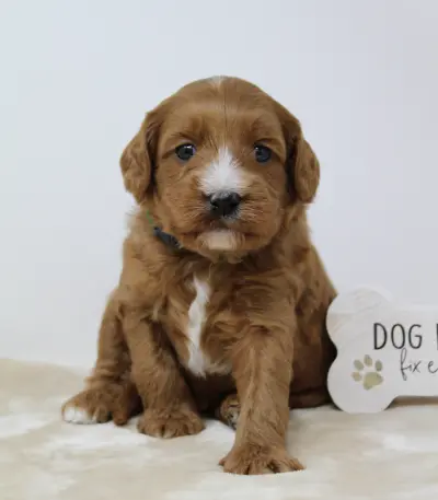 Four weeks Max 1