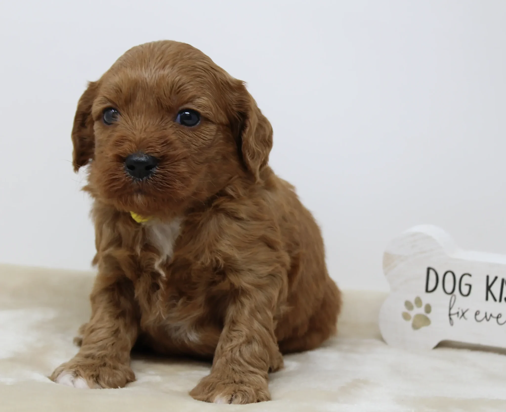 Four weeks Milly 2