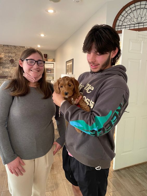 Emma and Watson’s puppies are home