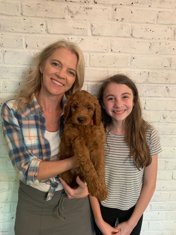 Bella and Gunner’s Bumble Bee puppies are home