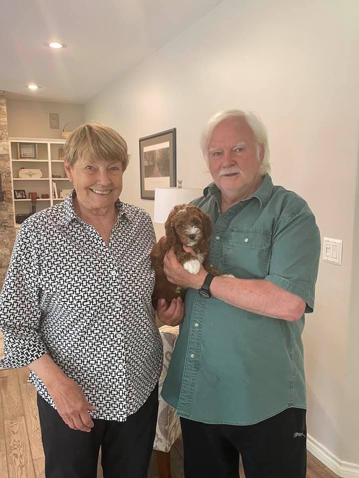 Gretel and Gunner’s puppies are home