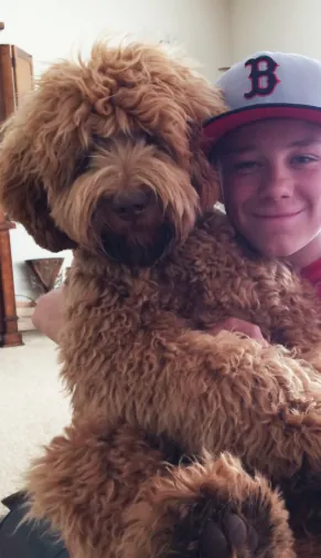 A smiling boy in a baseball cap holding his golden Labradoodle
