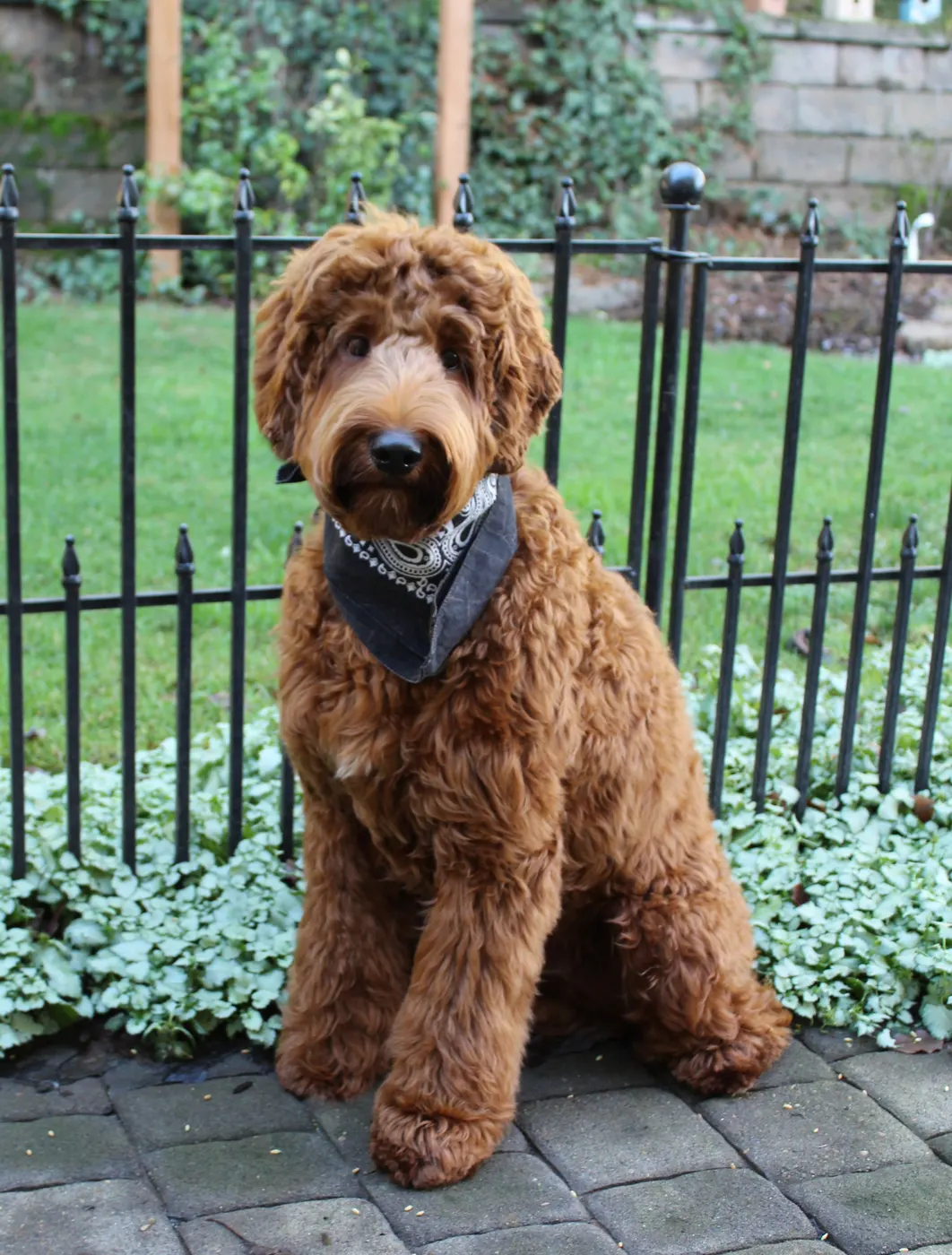 Gus Grady outside
