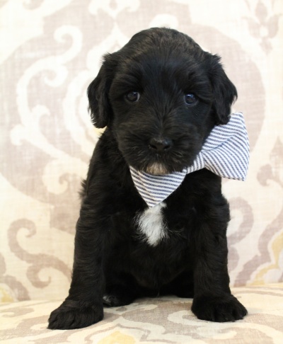 Five weeks Kip 2