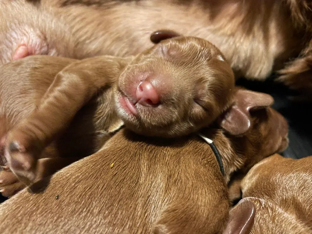 Birth Photo 2