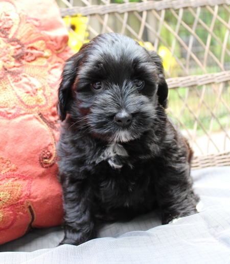 Seven weeks Karly