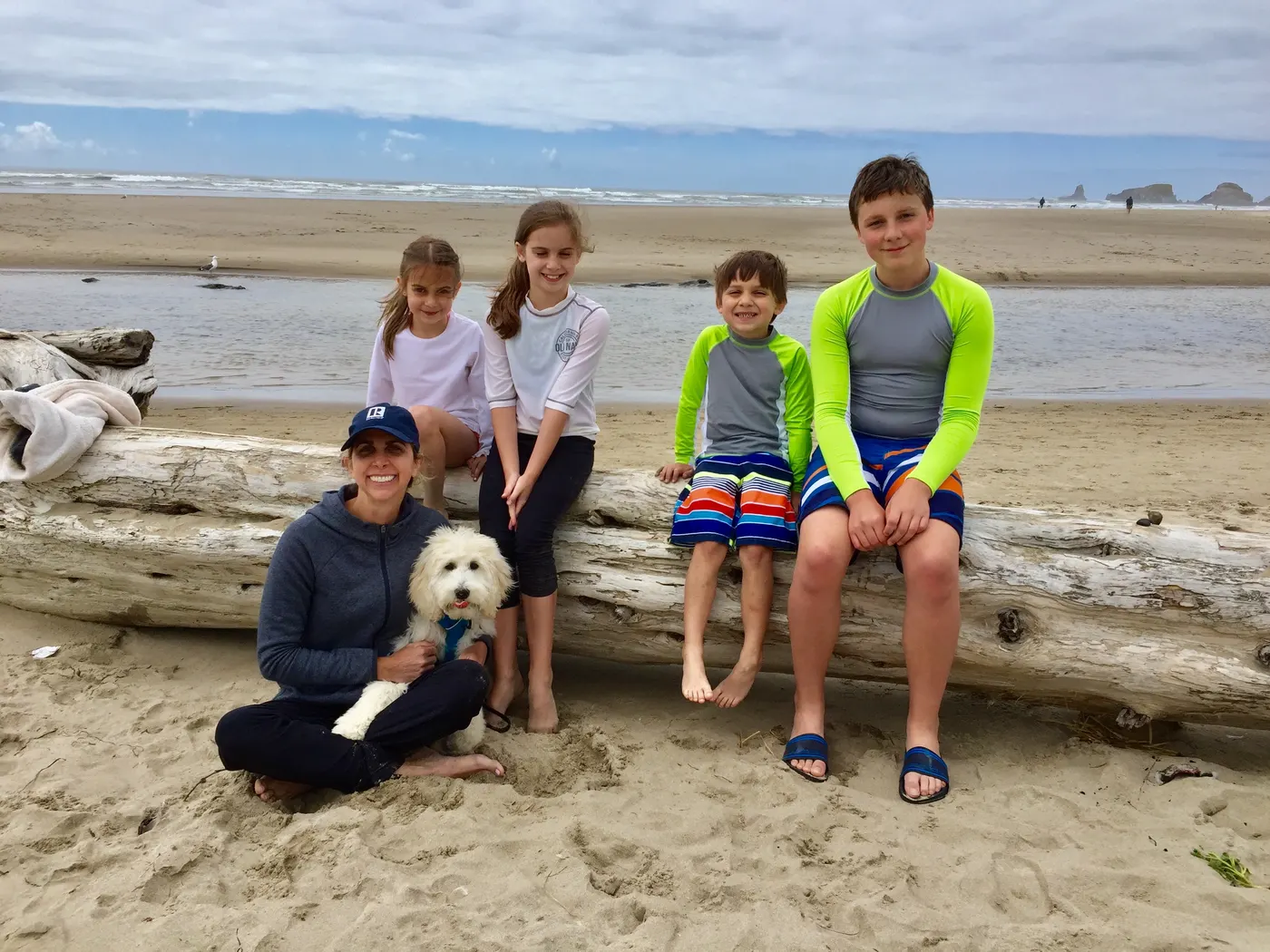 standard cream Australian Labradoodles Portland Oregon