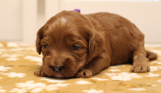 Two weeks Mandy