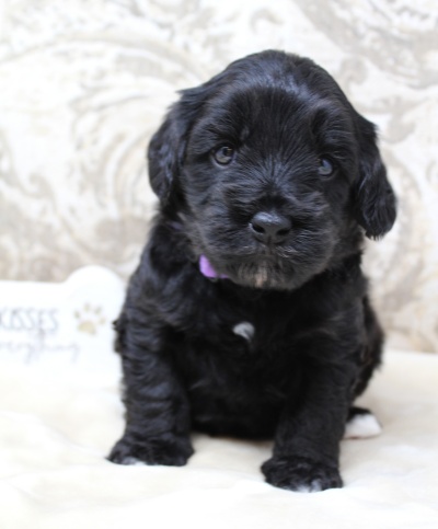 Four weeks Kristy
