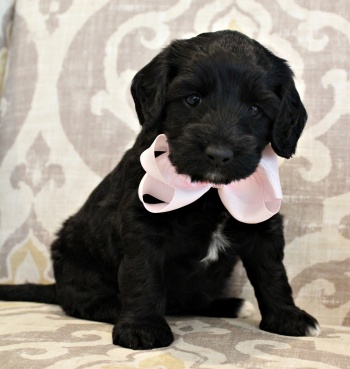 Five weeks Kim 2