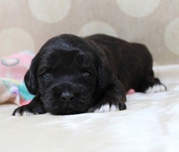 Two weeks Kelly 2