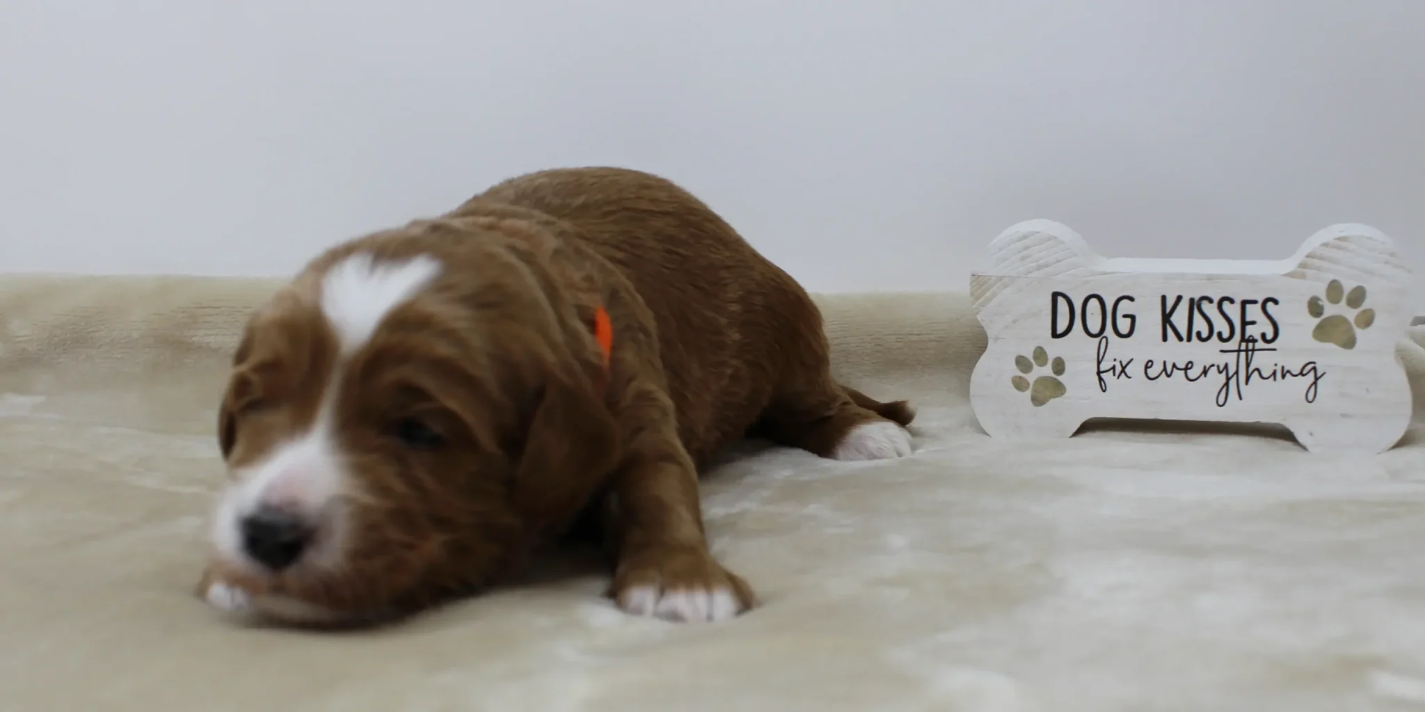Two weeks Arthur