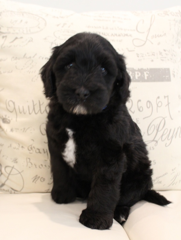 Six weeks Kip 1