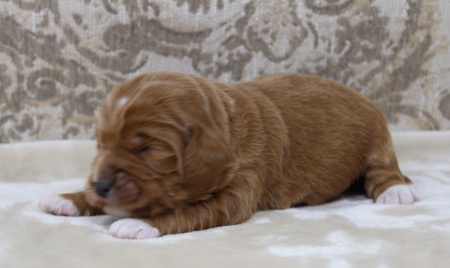 One week Keegan 2