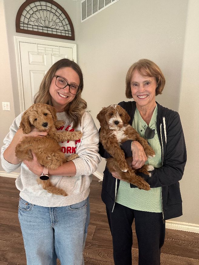 Ava and Watson's puppies are home