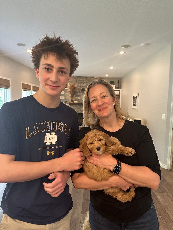Ava and Watson puppies are home