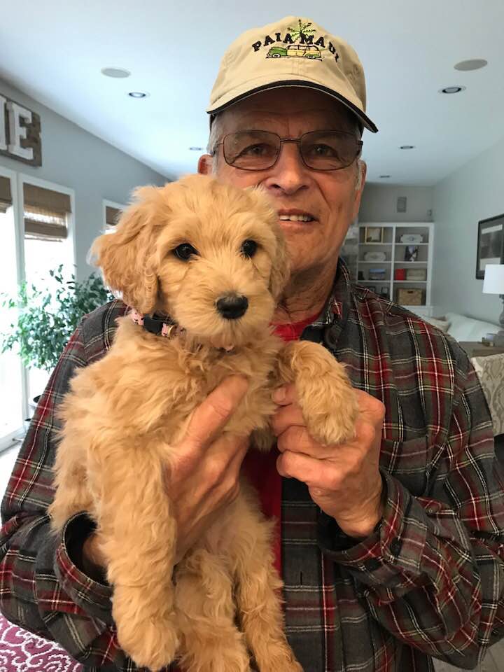 Lizzy and Basil’s pups went home
