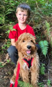 Best Portland Oregon Labradoodle puppy breeder
