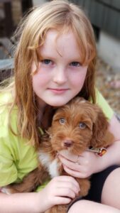 Why buy a puppy from us?