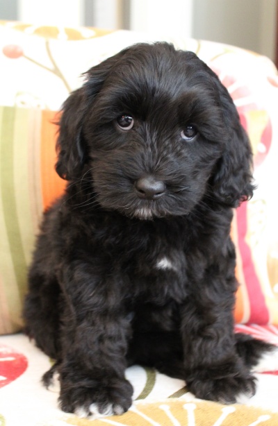 Eight-weeks-Kristy-3.jpg