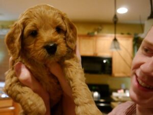 What Makes Us Different?